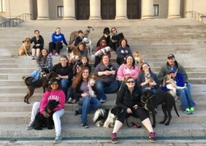 KC Dog Club: Nelson-Atkins Museum is one of Kansas Citys best places to take selfies with your dog